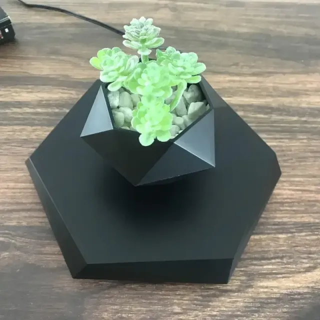 One Piece, Magnetic Skating Mini Rotating Florist