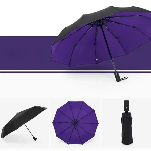 Windproof fully automatic two-layer umbrella