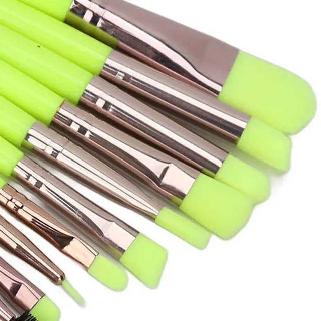 Luxury professional set of light green makeup brushes 20 pcs Clementine