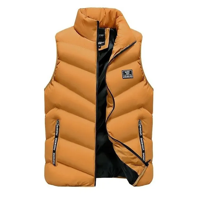 Luxurious men's vest Zaiden