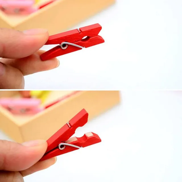 Mini wooden pegs | 50 pcs