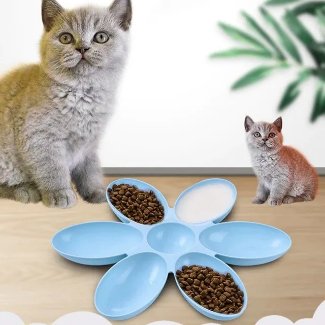 Divided dish for dogs and cats