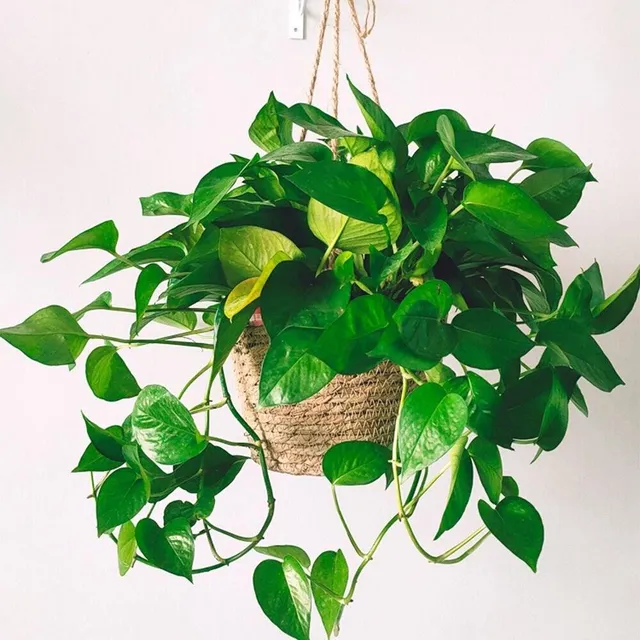 Basket for hanging pot made of woven jute rope