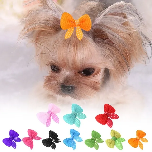 Clips for small dogs with bow 10 pcs