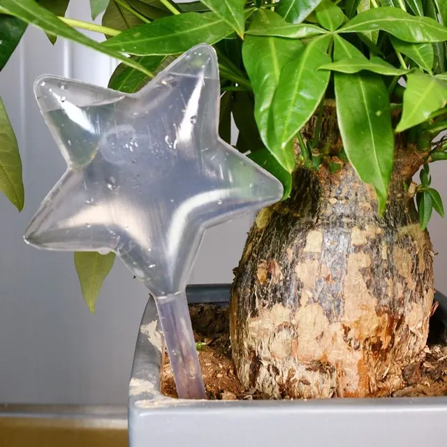 Water dispenser for flowers