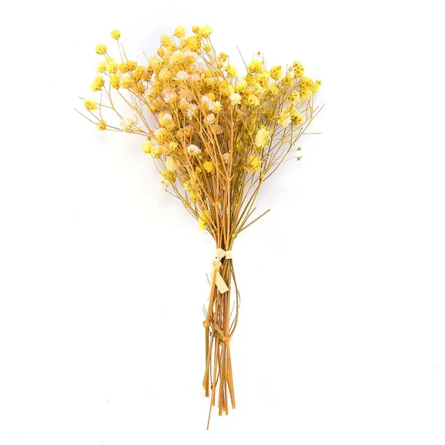 Přírodní sušené květiny - dekorace