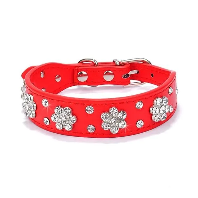 Leather collar for dogs and cats