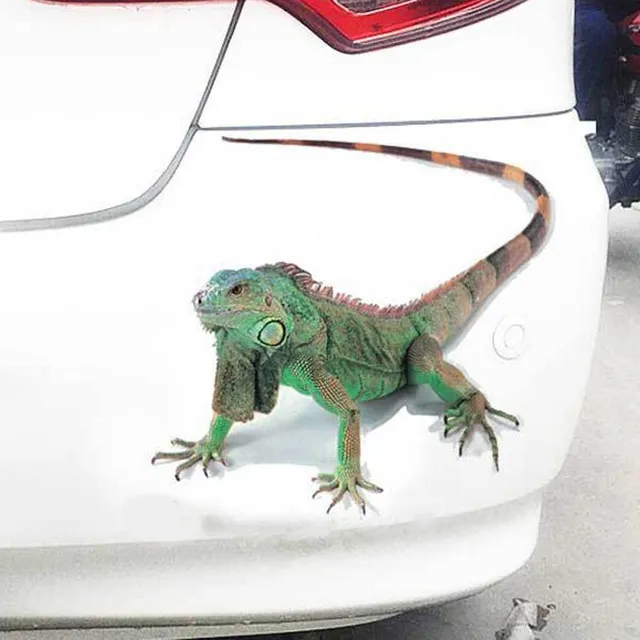 Animal 3D car sticker