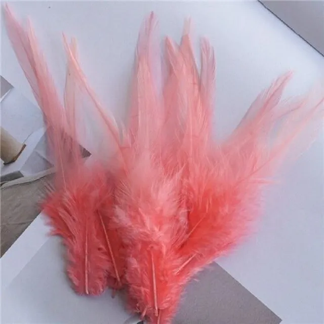 Decorative cock feathers 10-15 cm 50 pcs