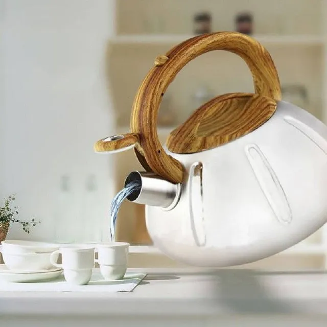 Stainless steel kettle with wooden handle