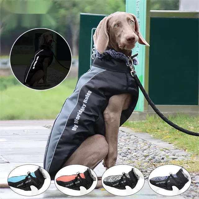 Winter waterproof suit for large dogs with reflective elements