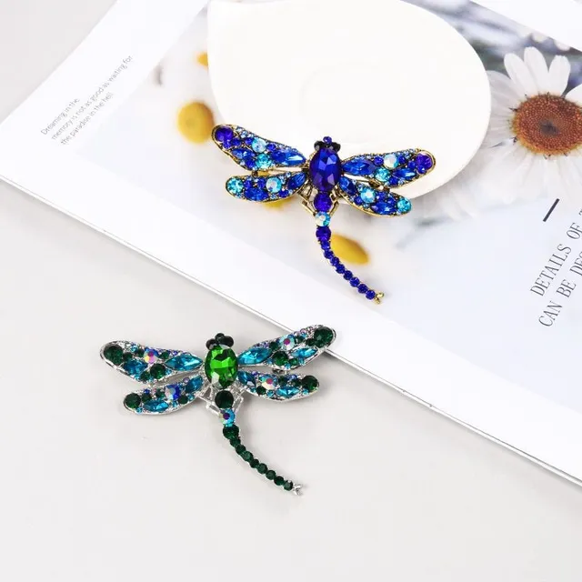 Beautiful ladies brooch decorated with dragonfly