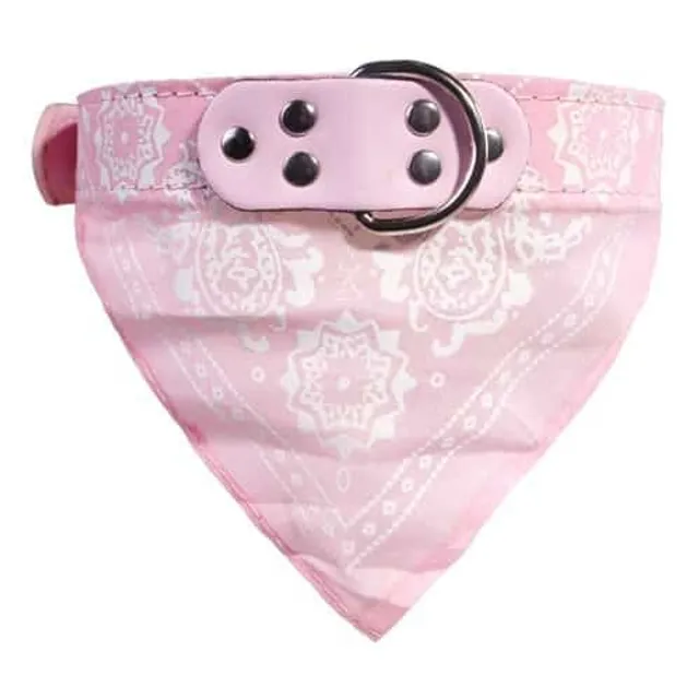 Stylish collar with scarf for dogs