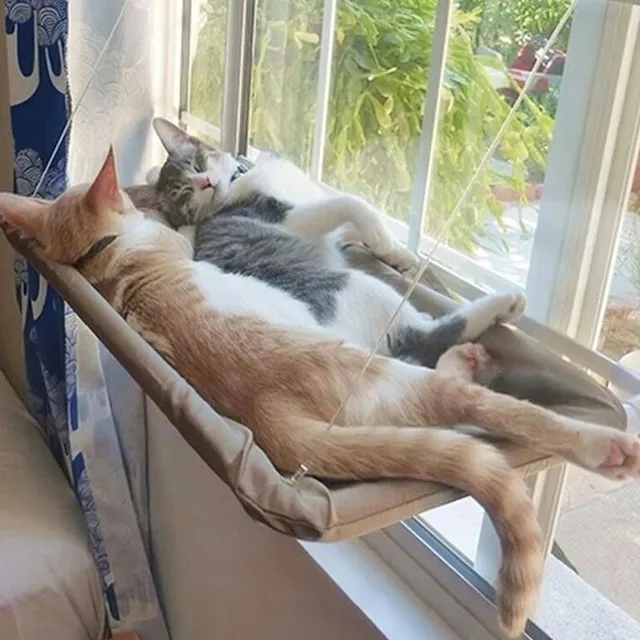Window hammock for cats