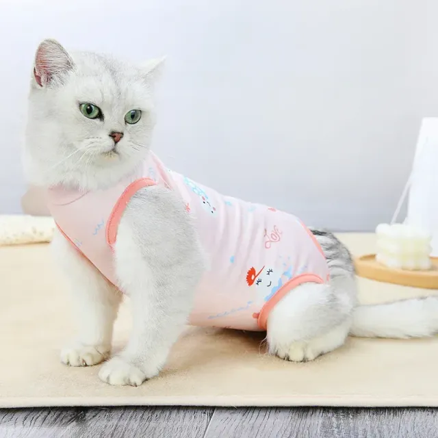 Elastic protective clothing for kittens and dogs after sterilization with recovery care