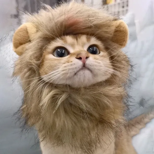 Roztomilý kostým s hrivou leva pre mačky - niekoľko možností veľkosti