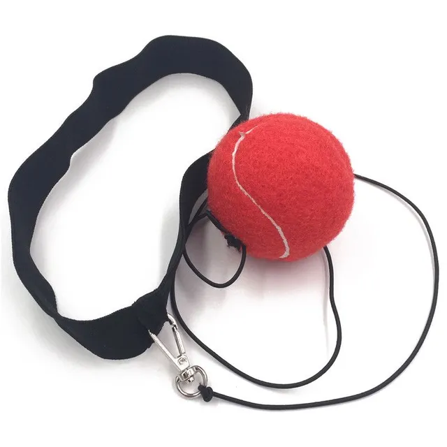 Ball on a rope for boxing training