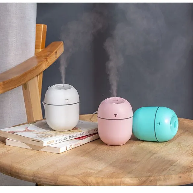 Home creative mini diffuser / humidifier - 3 variants