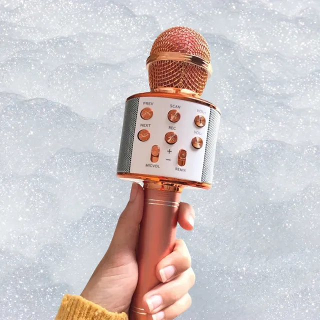 Bezdrôtový mikrofón Bluetooth pre karaoke