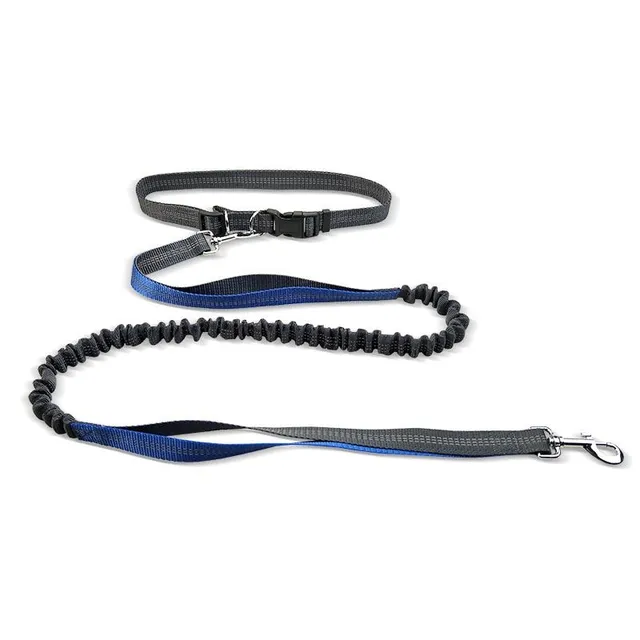 Reflective multifunctional running leash for dogs