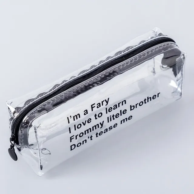 School design case for typewriters - transparent