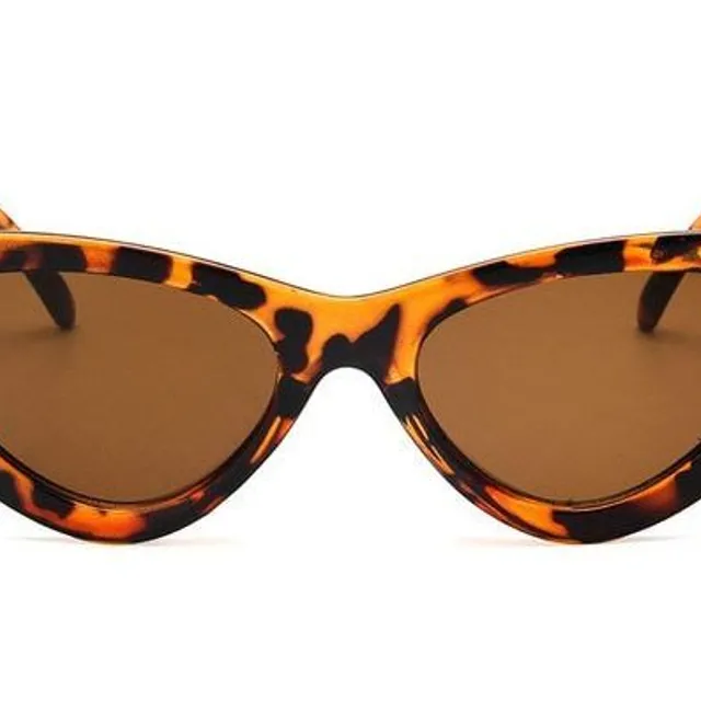 Fashionable trendy Gardner sunglasses