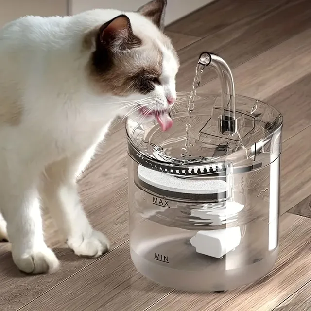 Transparent Cat Water Distributor