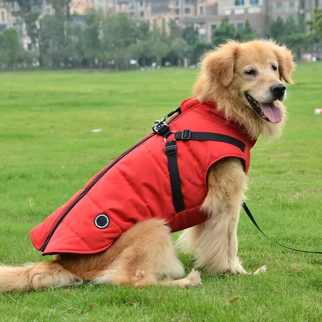 Vêtement pour chien chaud et rembourré avec harnais intégré pour petits et moyens chiens