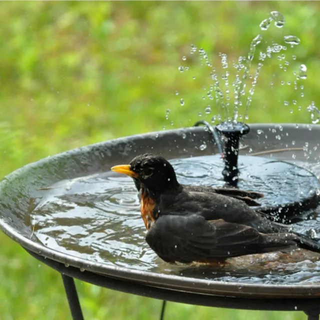 Pumped into the fountain with solar power