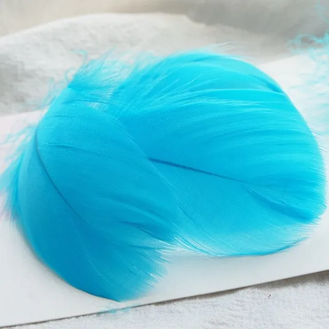 Natural coloured decorative feathers - 100 pcs