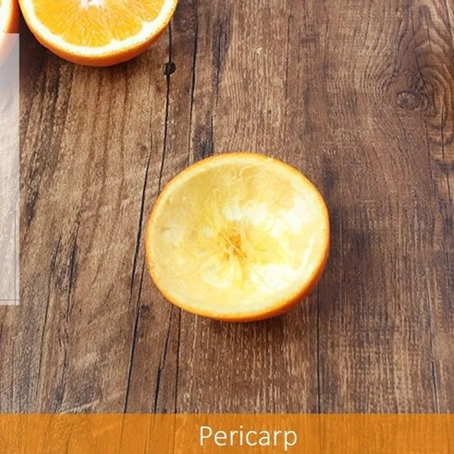 Manual citrus juicer - Orange