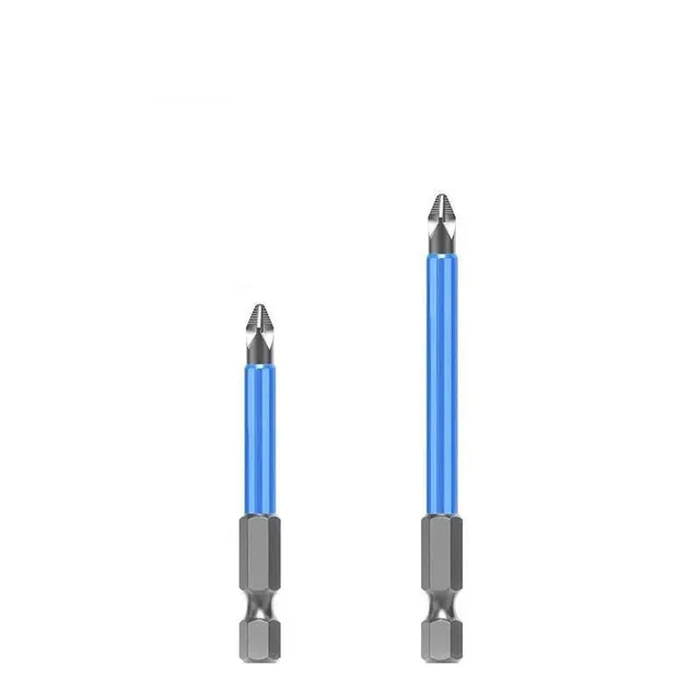 Magnetic kit of bits for screwdriver