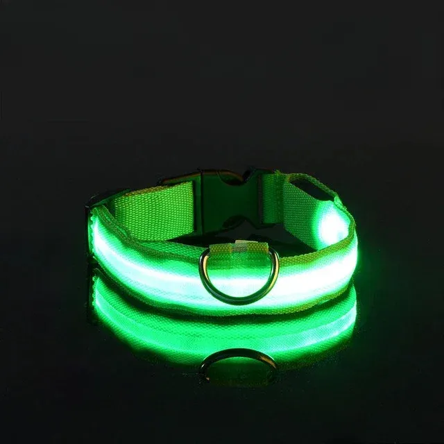 Practical collar with LED strap for improved visibility - USB power supply, more colors