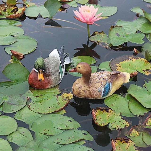 Garden decoration duck