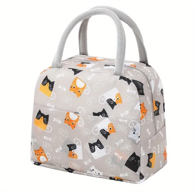 Light and portable lunch bag with zipper and cartoon motif