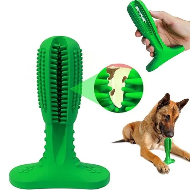 Toothbrush for dogs