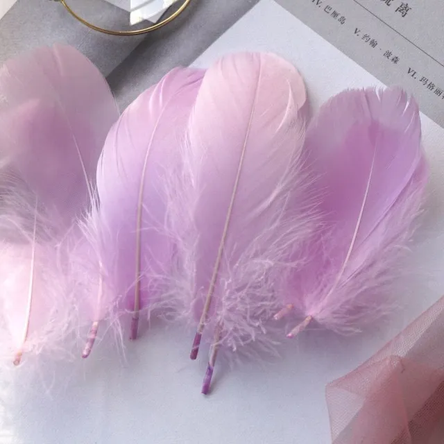 Natural coloured decorative feathers - 100 pcs