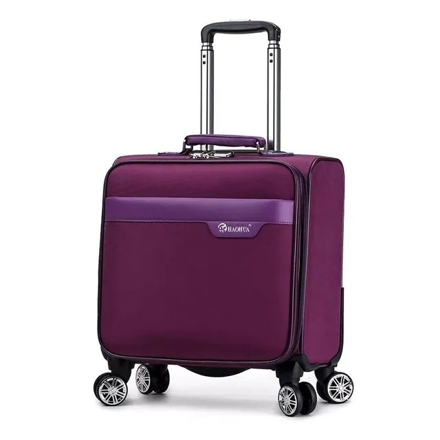 Travel suitcase on wheels Blair