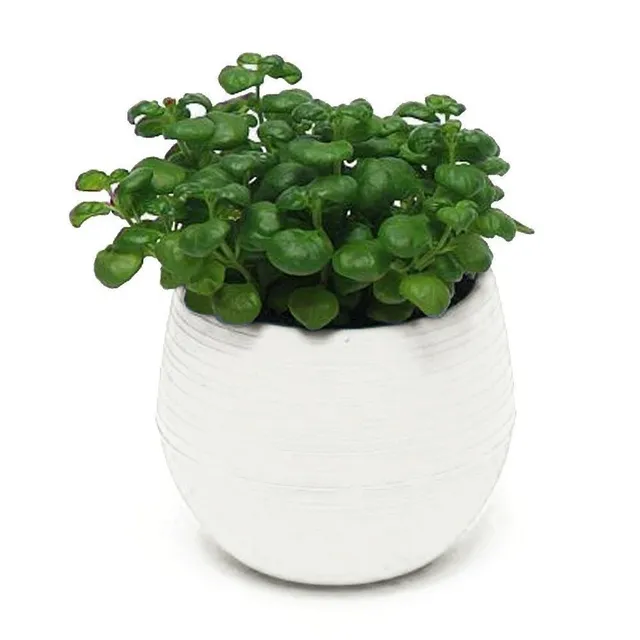 Mini pot de fleurs avec soucoupe C1168