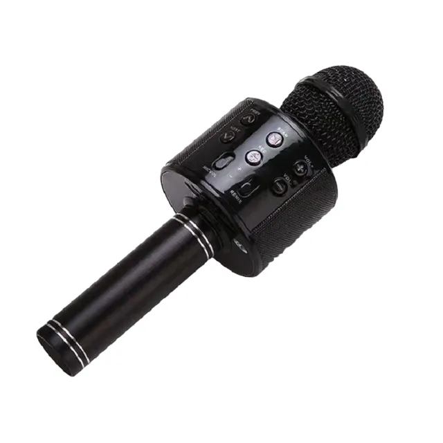 Kids karaoke microphone