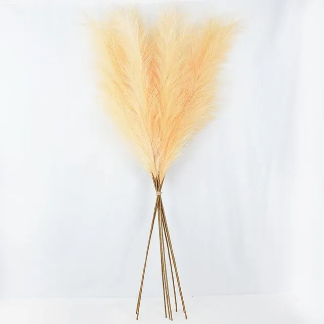 Large silky pampas grass flowers
