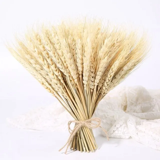 Dekorácia do vázy rôznych farieb - pšeničné ucho