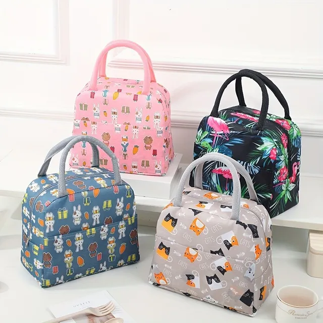 Light and portable lunch bag with zipper and cartoon motif