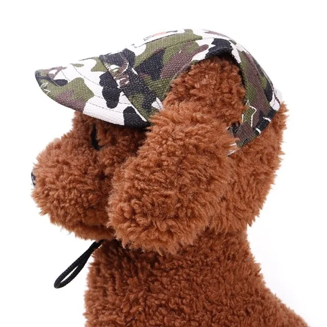 Cap for dog - various types