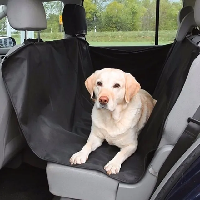 Car protective blanket for dog