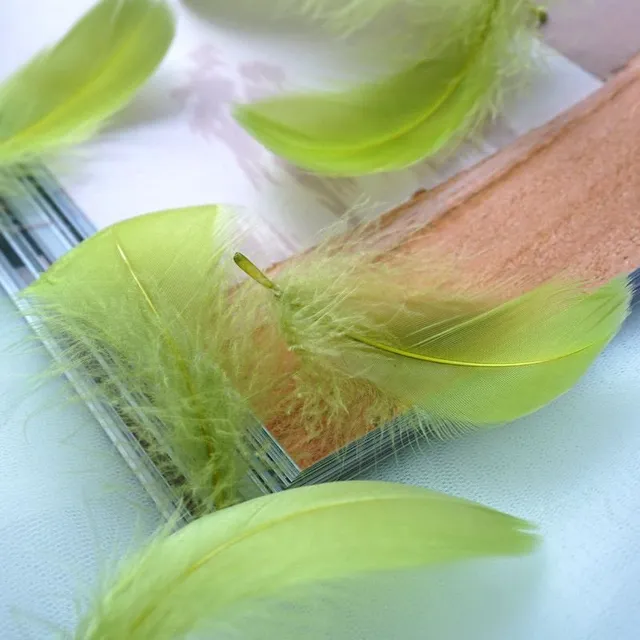 Natural coloured decorative feathers - 100 pcs