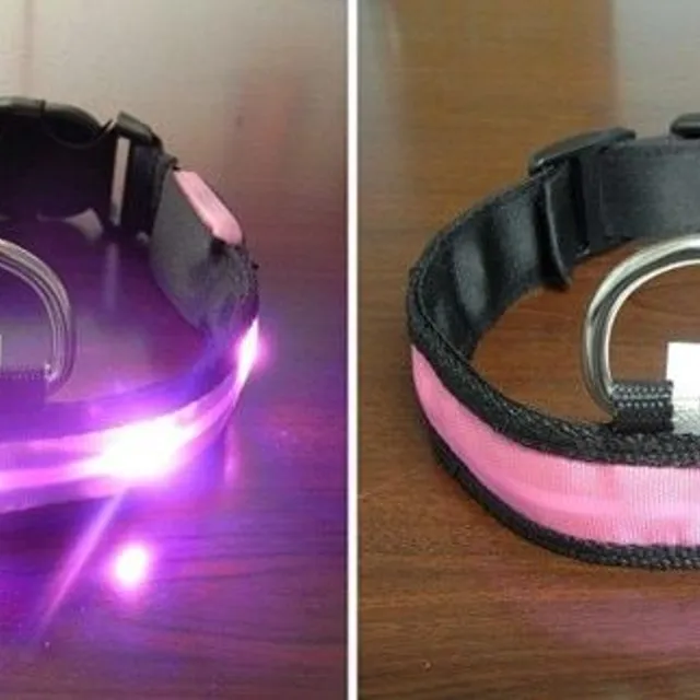 Ware LED light-up collar