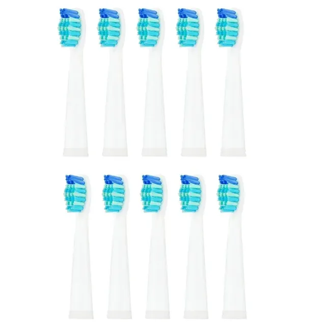 Replacement head for toothbrush Seago 10 pcs