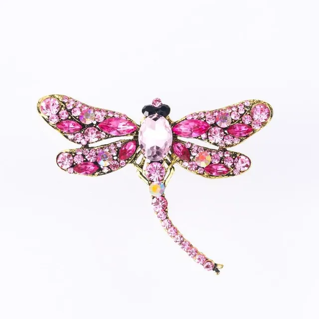 Beautiful ladies brooch decorated with dragonfly