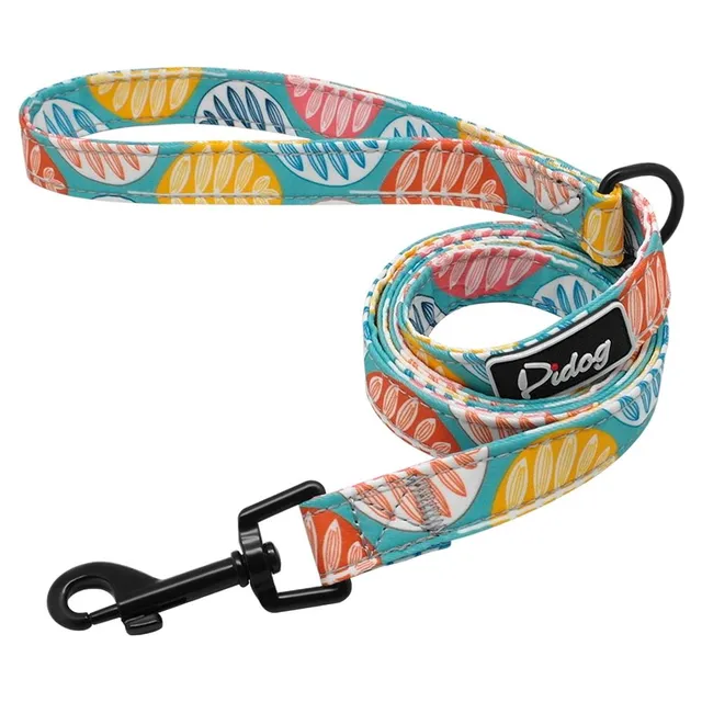 Dog harness with leash for small dogs